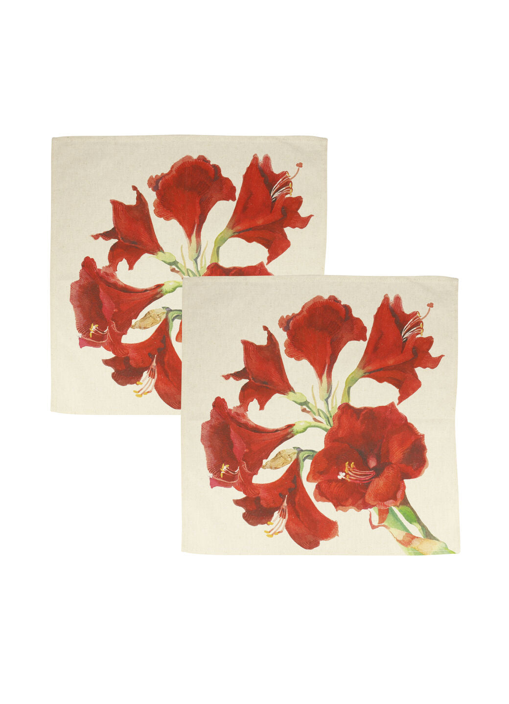 Amaryllis Set Of 2 Linen Napkins