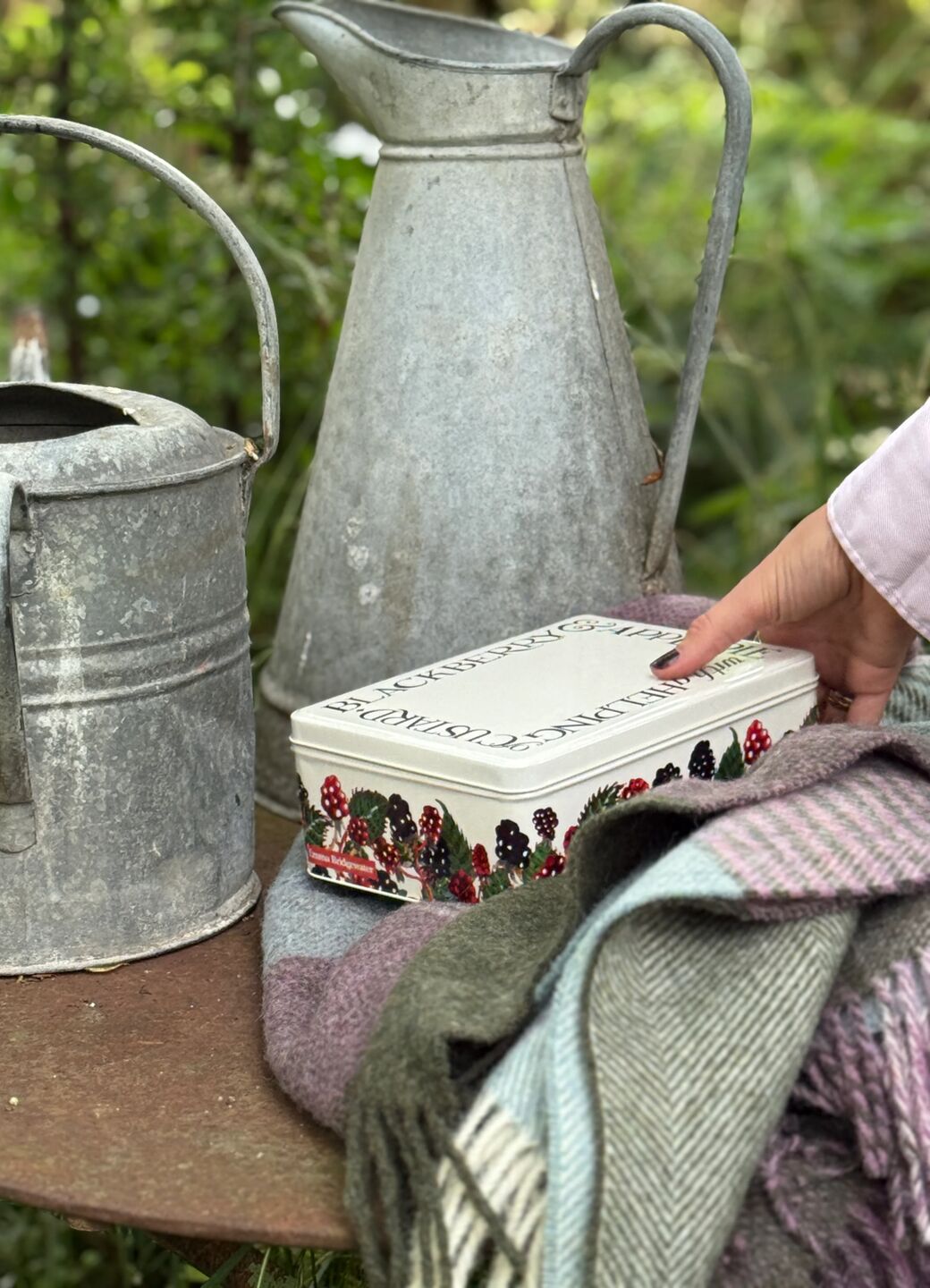 Blackberry Medium Shallow Tin