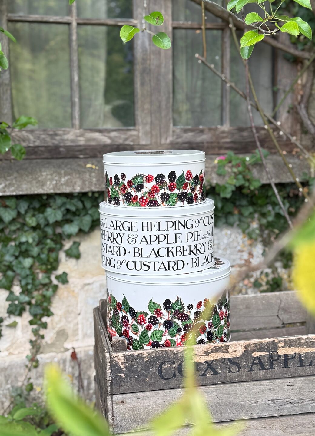 Blackberry Set Of 3 Round Cake Tins