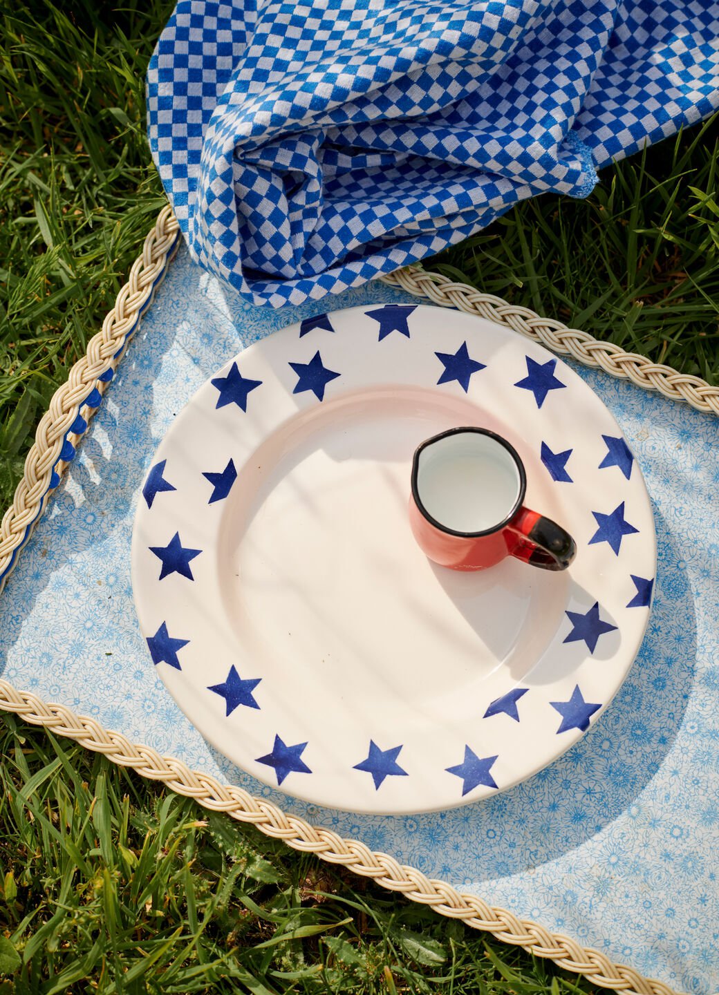 Blue Star Large Dinner Plate, 10.5 Inch