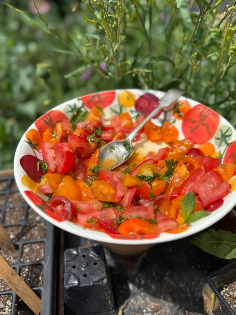 Heirloom Tomatoes Medium Pasta Bowl