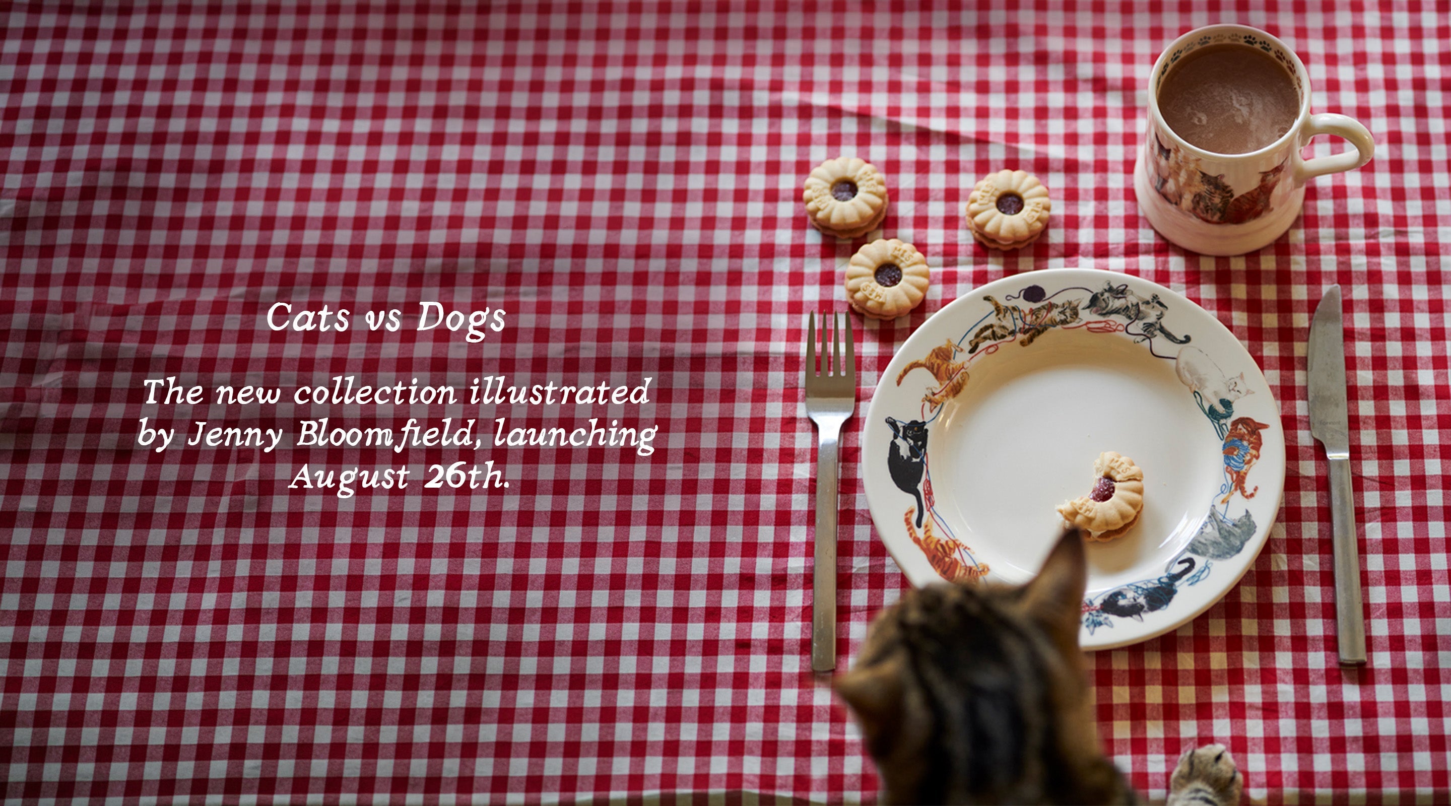 Coming Soon: Jenny Bloomfield Cats vs Dogs