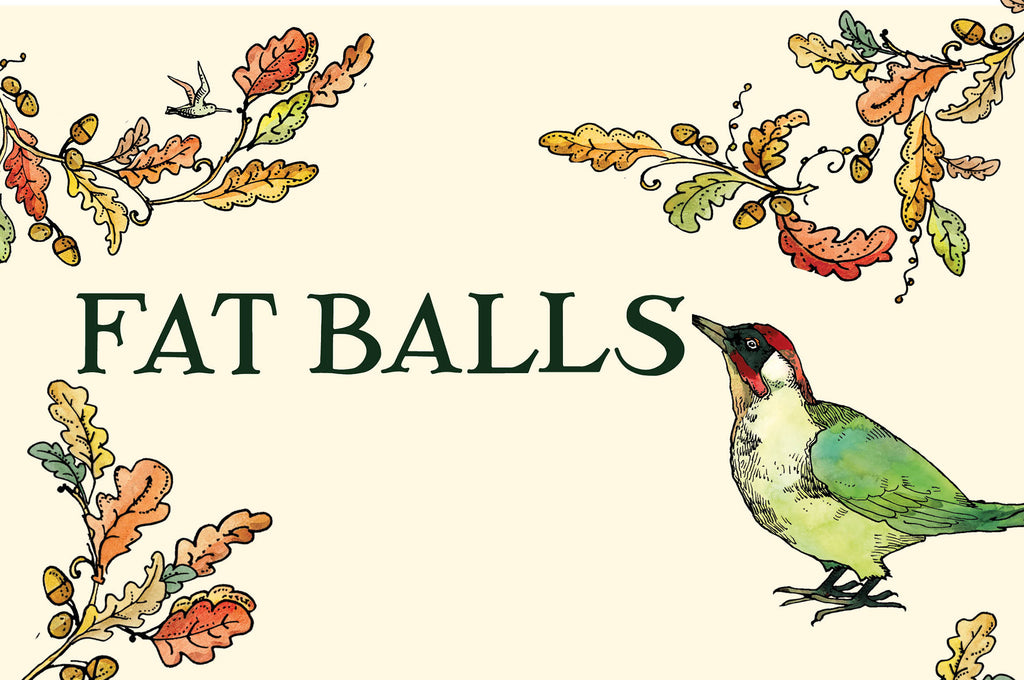 Birds Fat Balls Recipe Emma Bridgewater UK