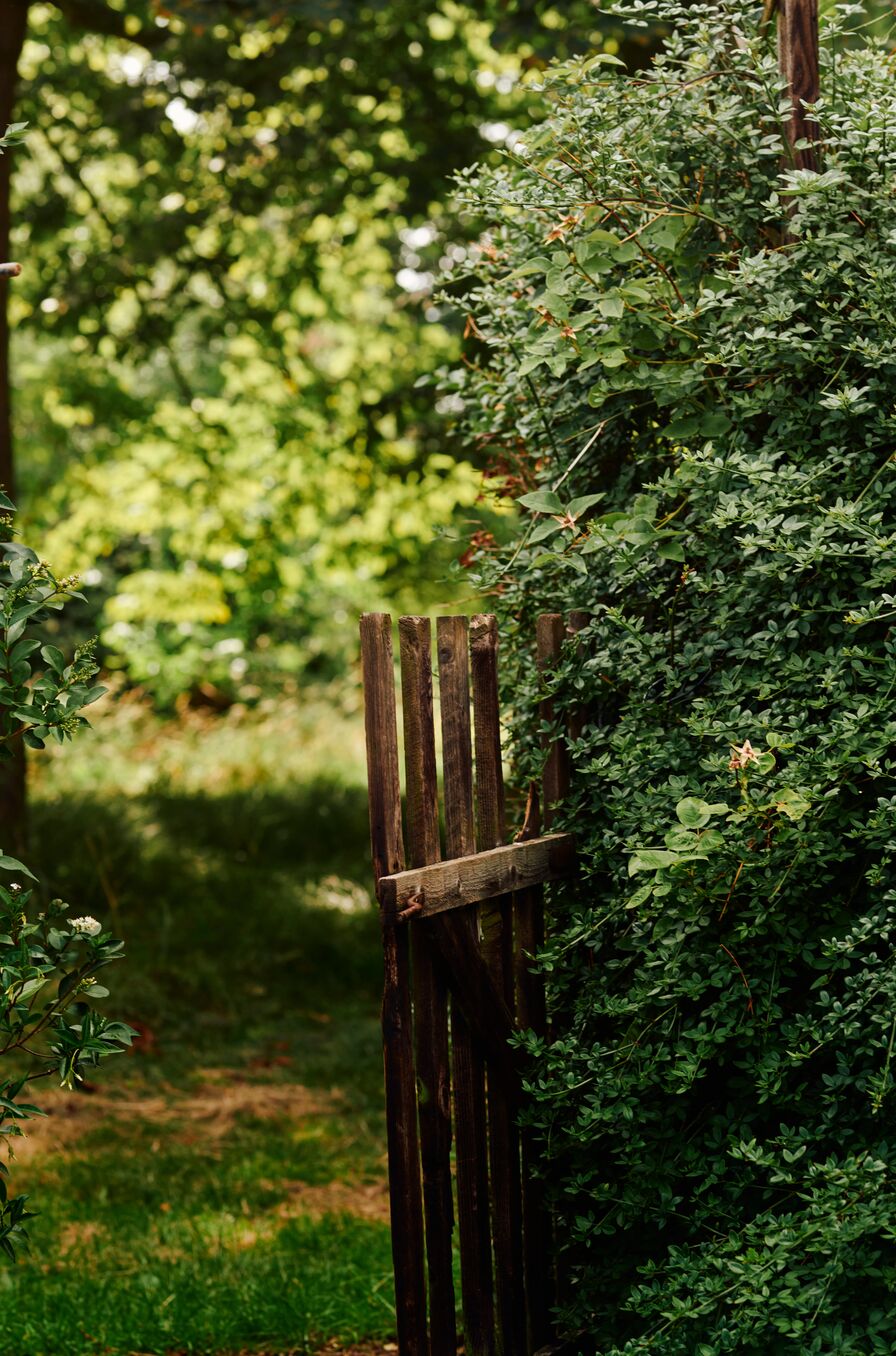 Foraging Guide