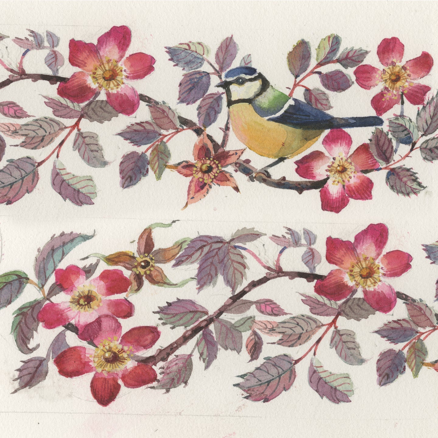 Behind The Design: Tits & Roses