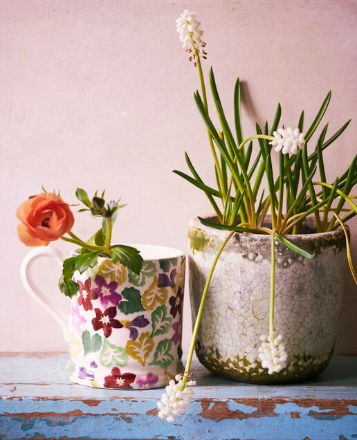 Sweet Violets