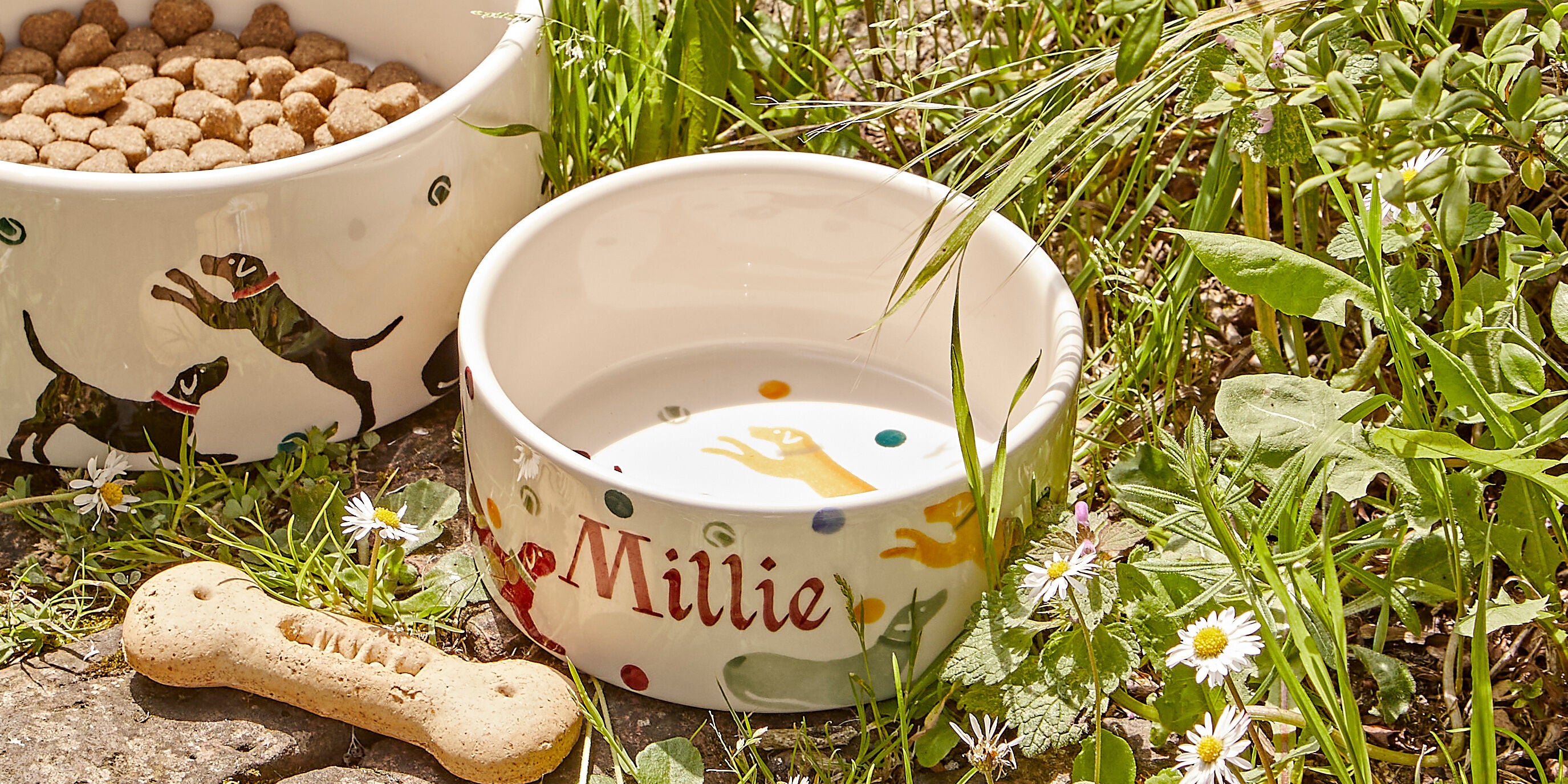 Pet Bowls