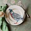 Pigeon 8 1/2 Inch Plate