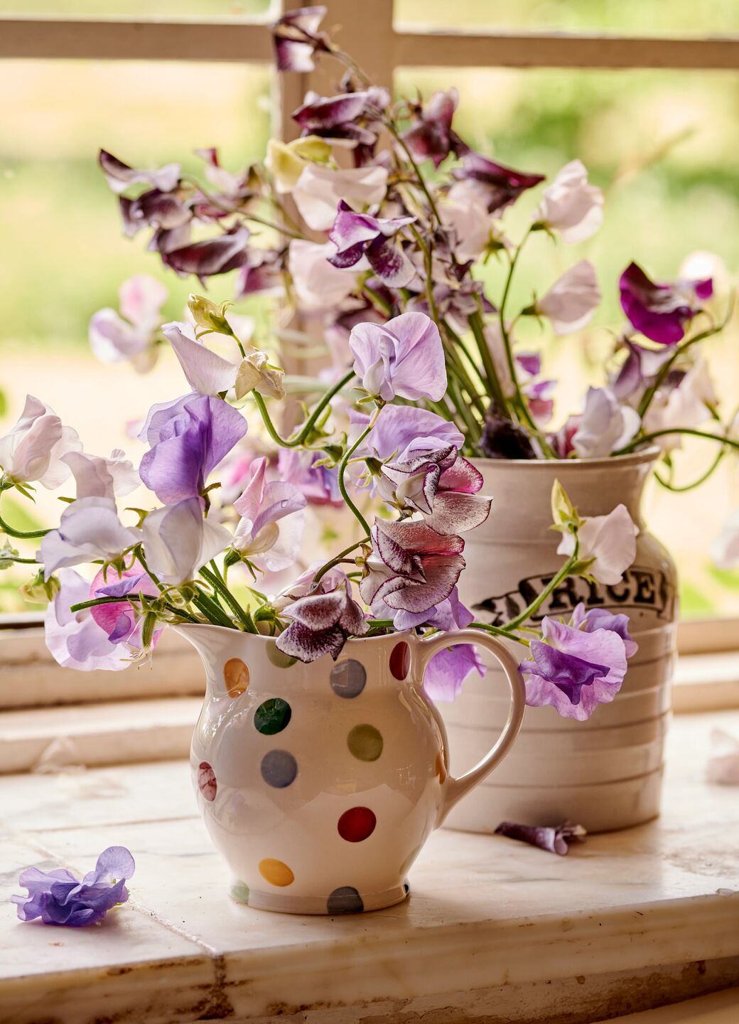 Polka Dot 1 2 Pint Jug