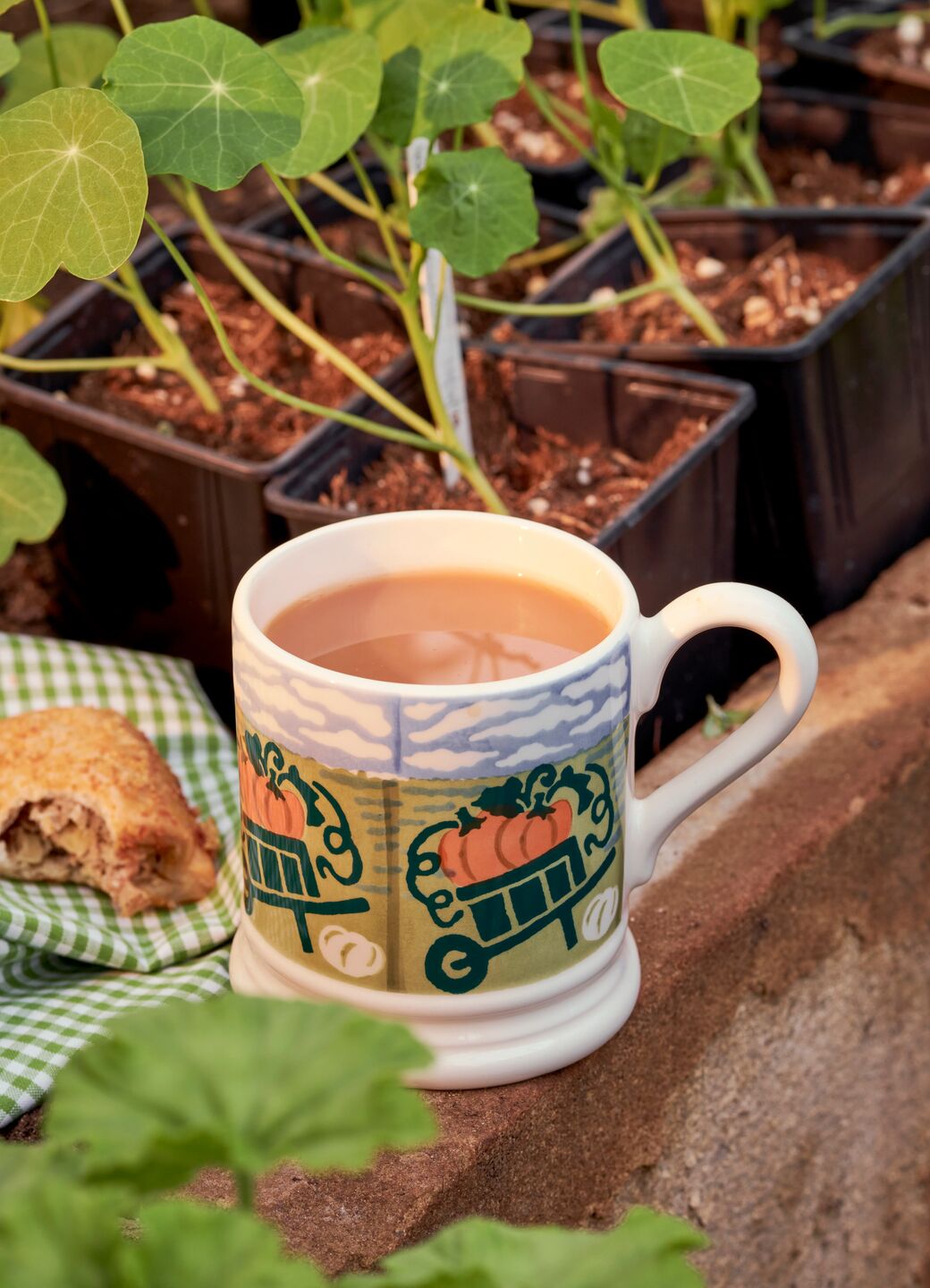 Country Icons Pumpkin Picking 1/2 Pint Mug