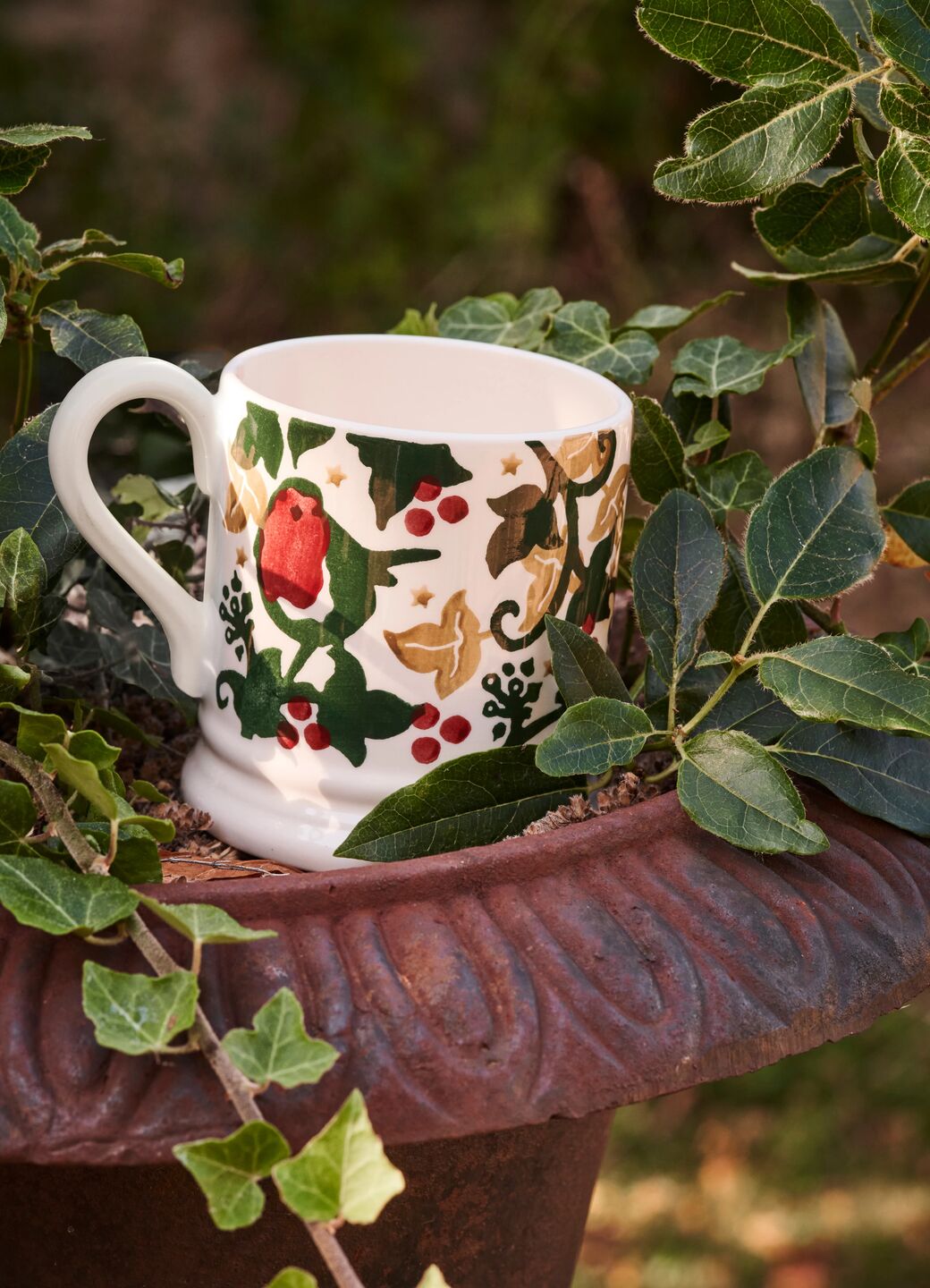 Dawn Chorus Robin 1/2 Pint Mug