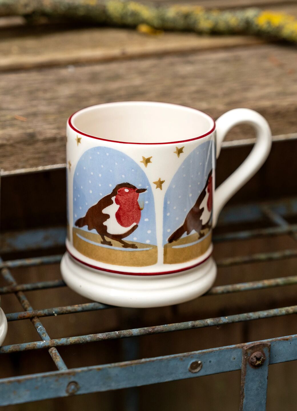 Seconds Robin Snow Globe 1/2 Pint Mug