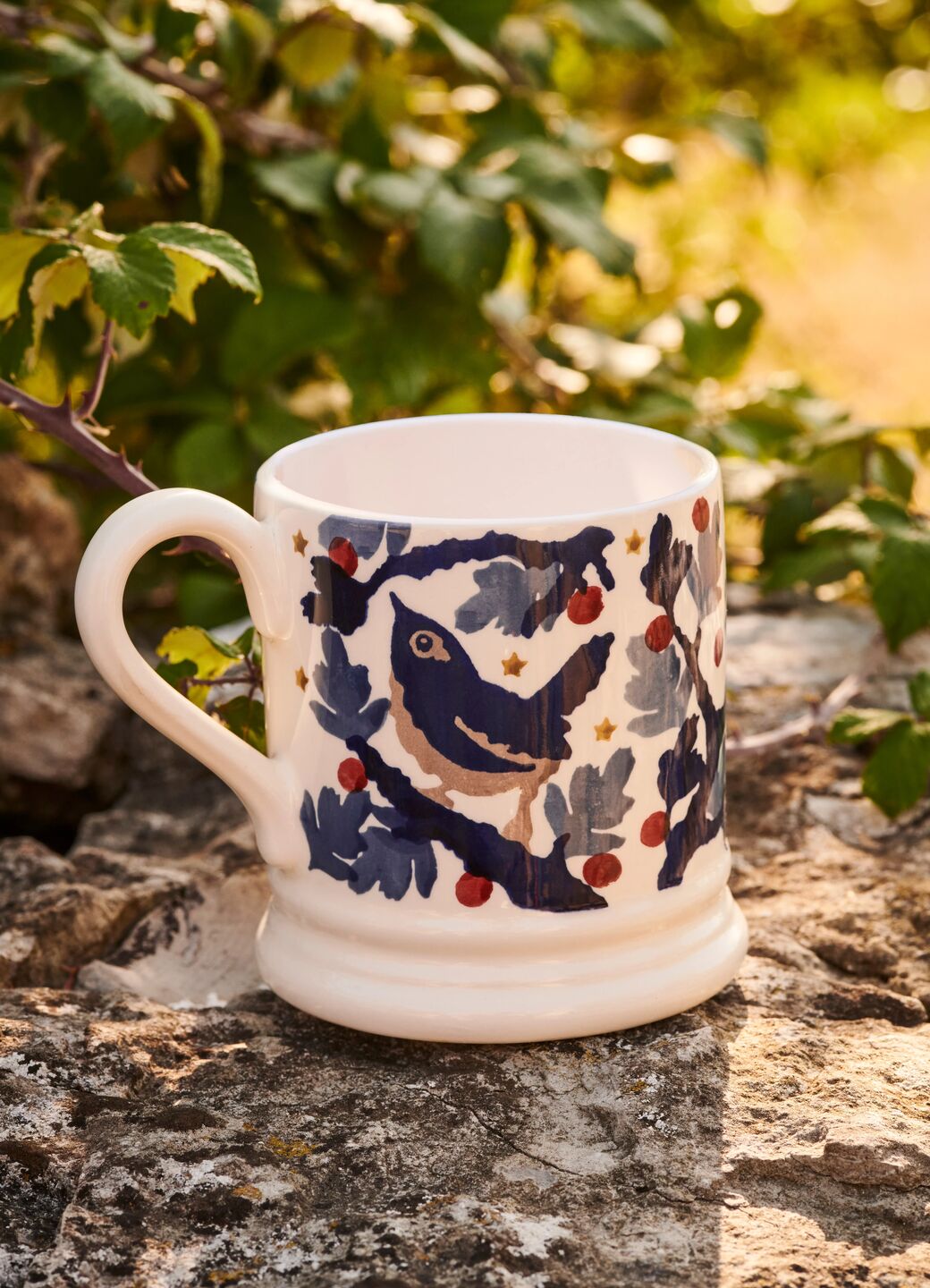 Dawn Chorus Wren 1/2 Pint Mug