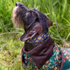 Dogs In The Woods Waterproof Waxed Cotton Small Pet Coat