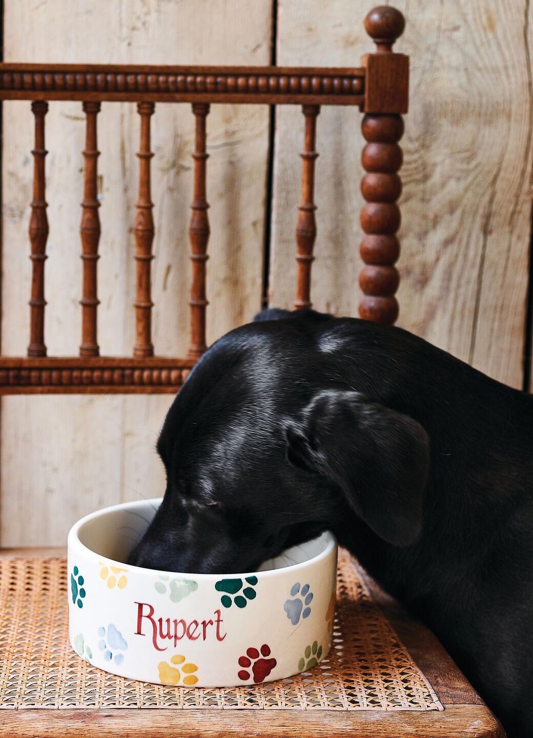 Gifts for Animal Lovers | Gifts for Dog Lovers & More – Emma