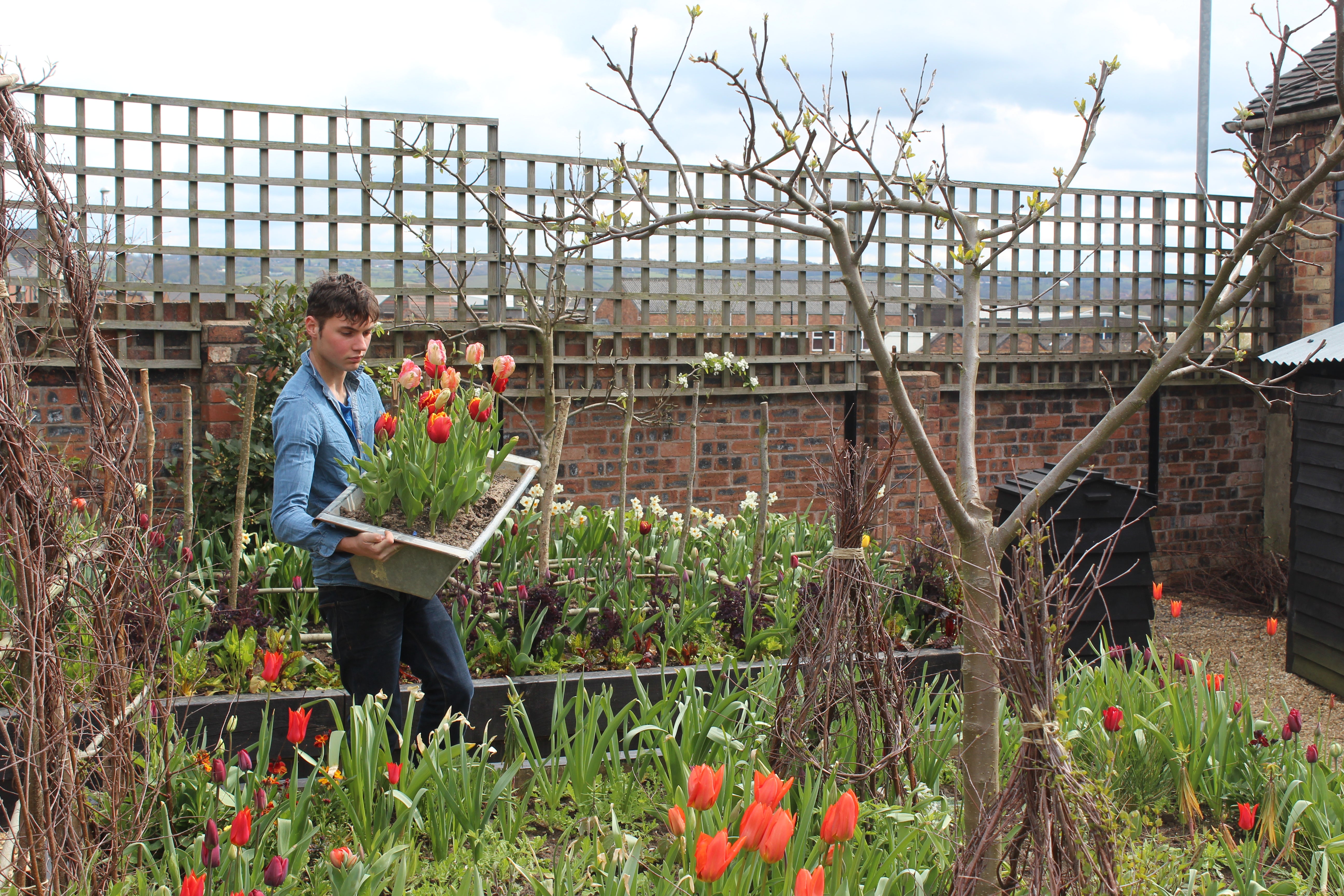 Arthur Parkinson's Tulip & Cutting Garden Masterclass