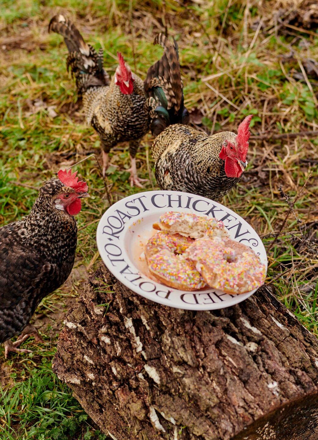 Black Toast Roast Chicken Large Dinner Plate, 10.5 Inch