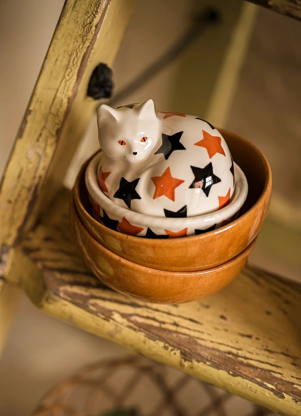 Seconds The Wise Witches Black Cats Small Cat On Basket