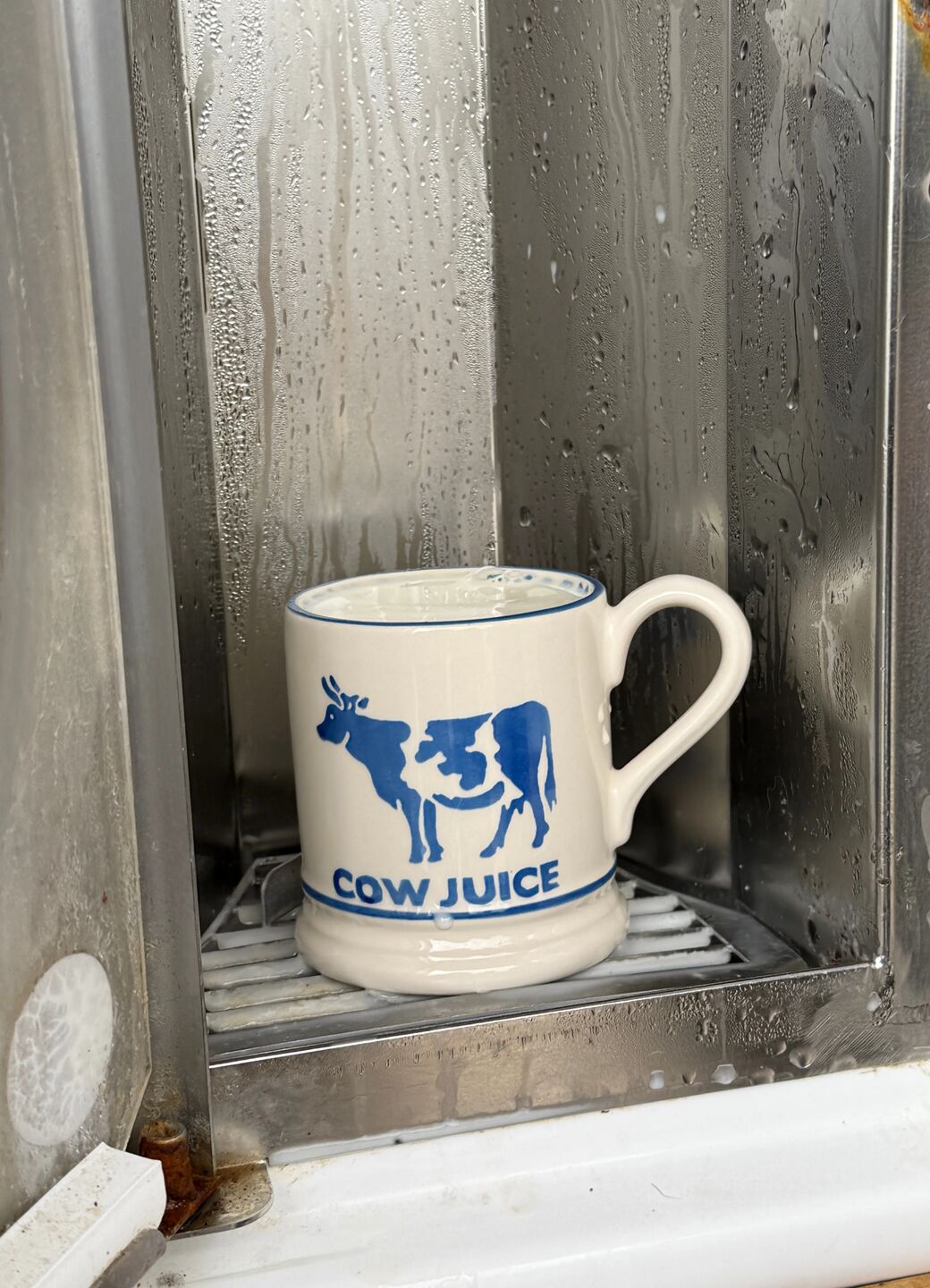 Diddly Squat Farm: Cow Juice 1/2 Pint Mug