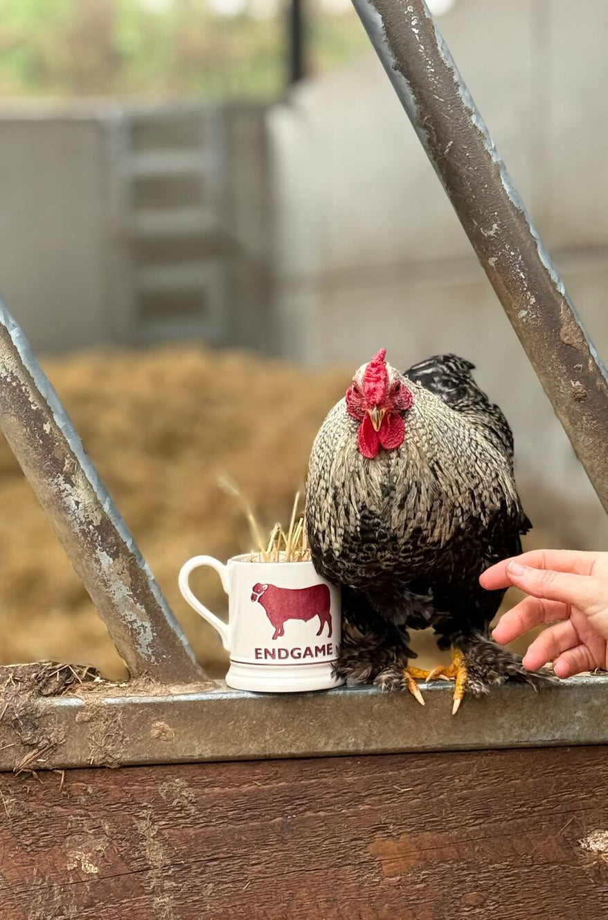 diddly-squat-farm-emma-bridgewater-uk