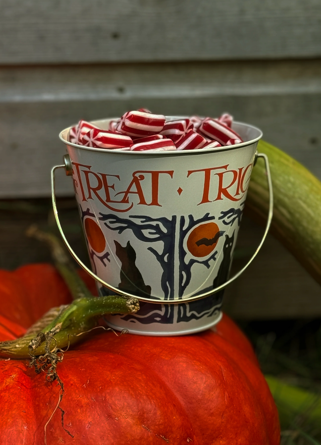 Halloween Trick Or Treat Tin Bucket