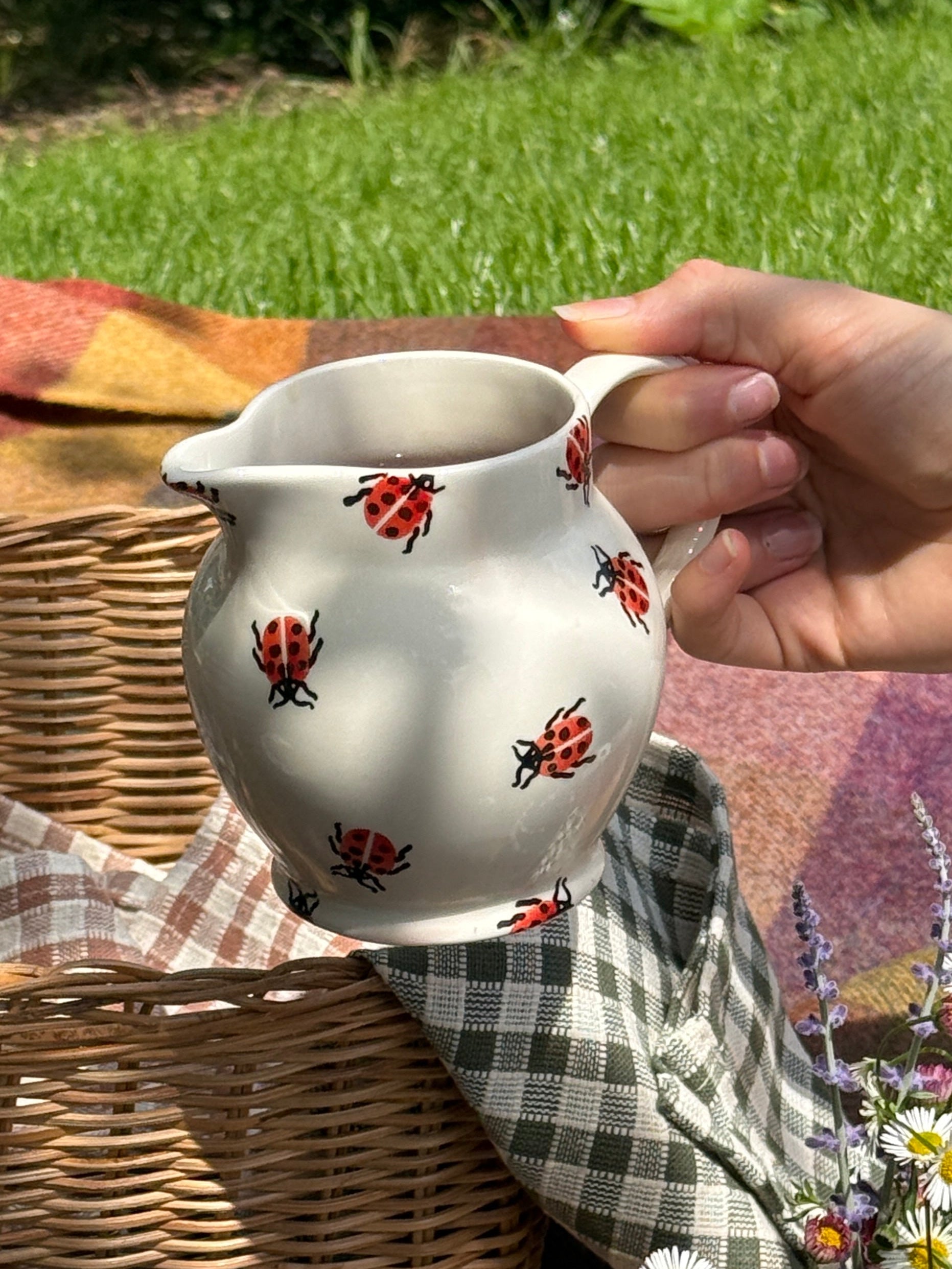 Ladybird 1/2 Pint Jug