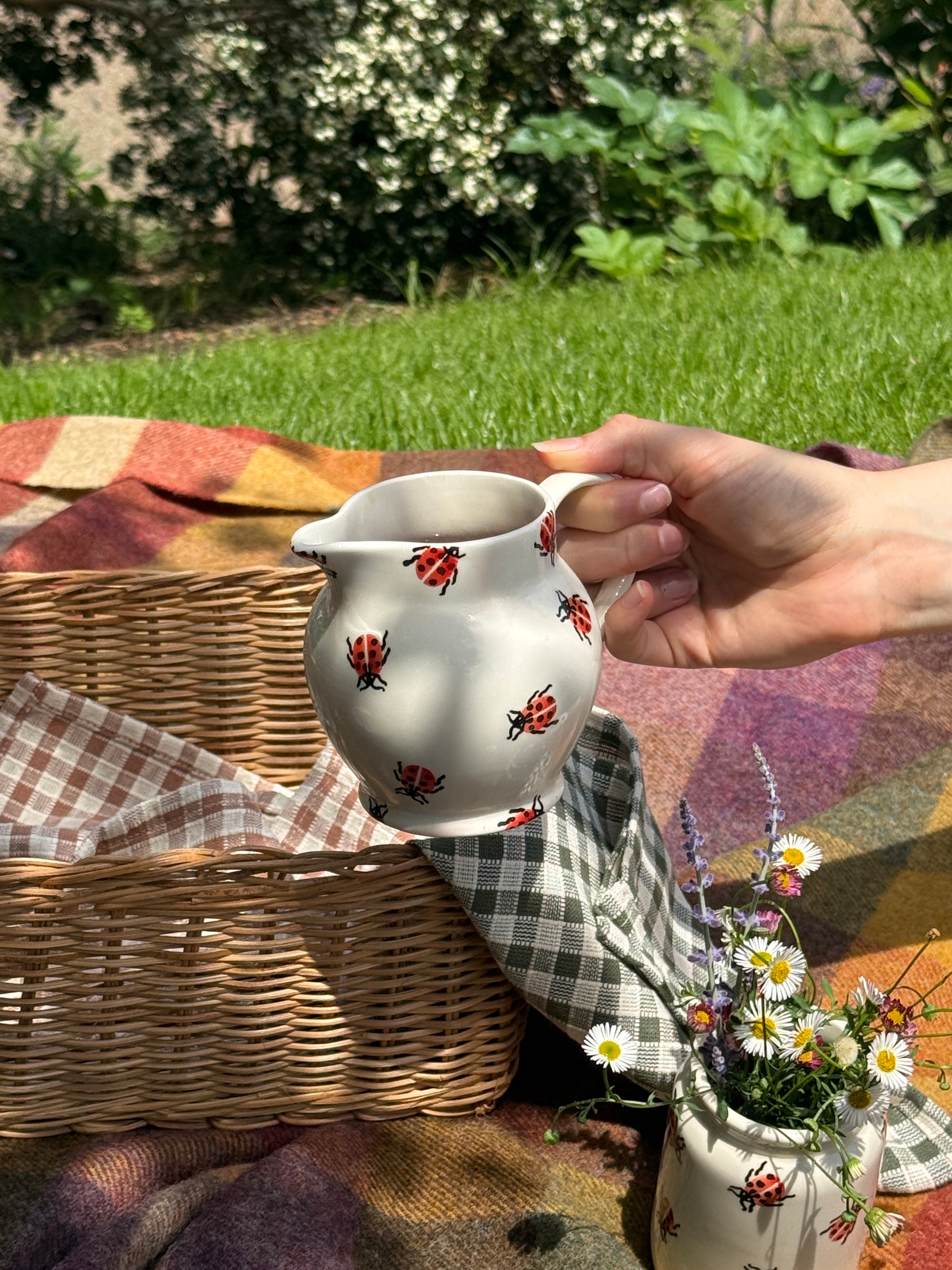 Ladybird 1/2 Pint Jug