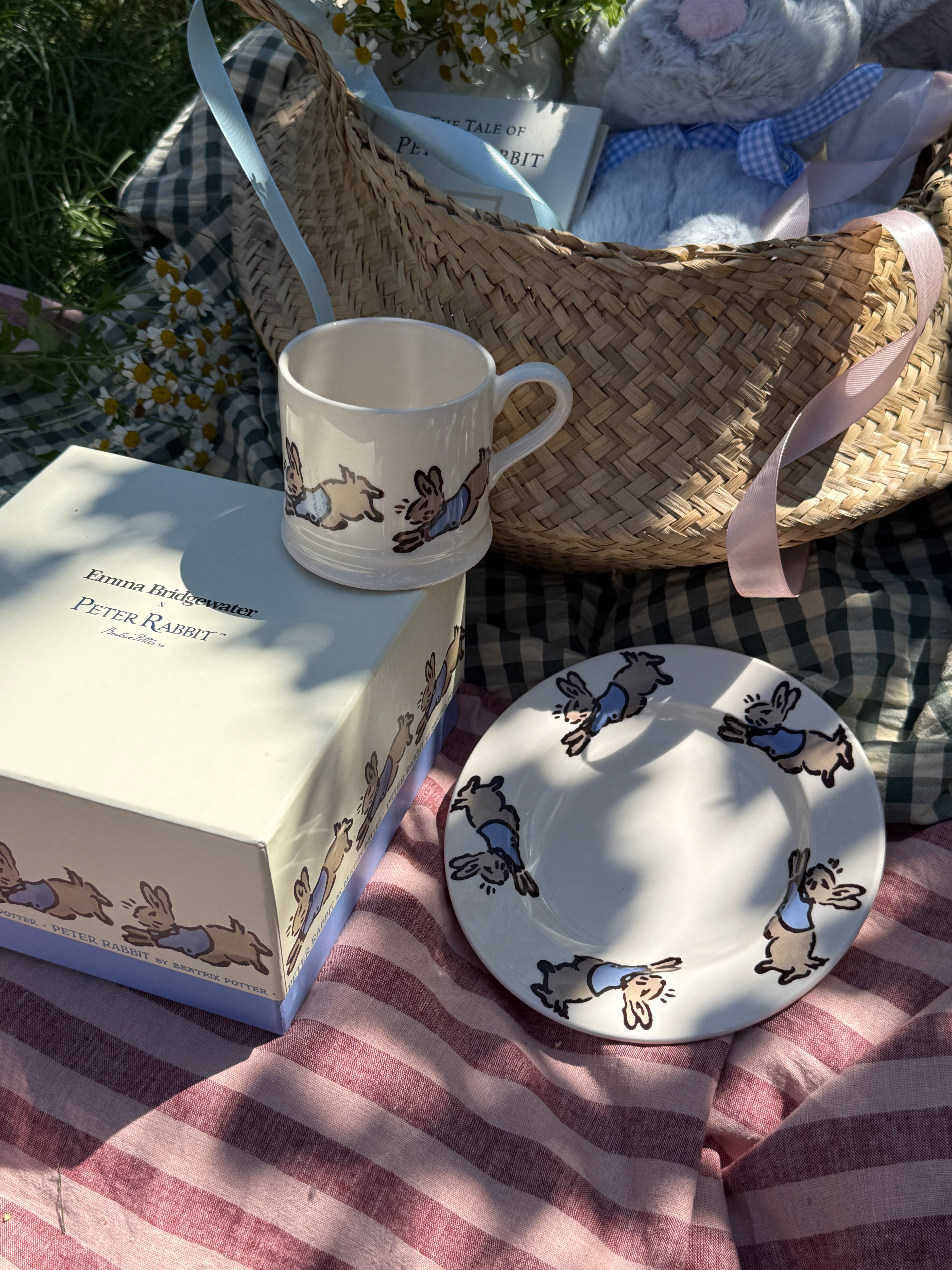 Peter Rabbit™ Hop, Skip, Jump 6 1/2 Inch Plate & Small Mug Gift Set Boxed