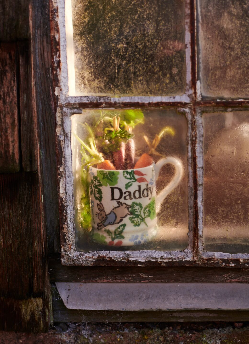 Peter Rabbit™ Garden Daddy 1/2 Pint Mug