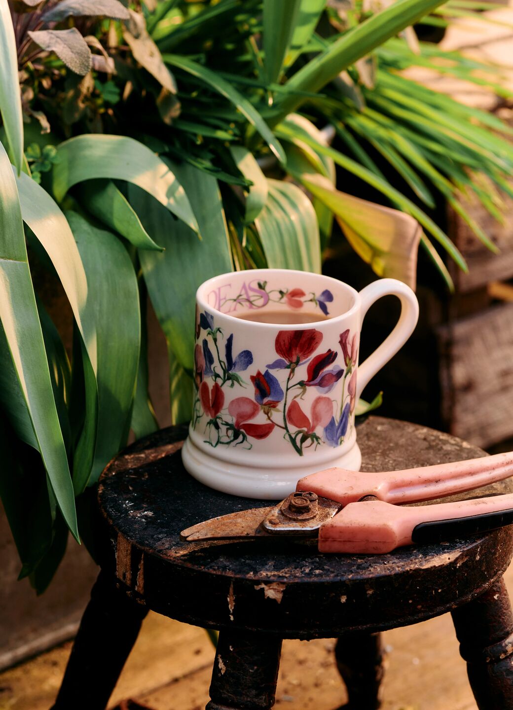 Flowers Sweet Pea Multi 1/2 Pint Mug