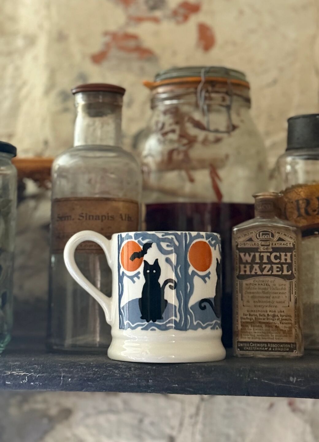 The Wise Witches Black Cats 1/2 Pint Mug
