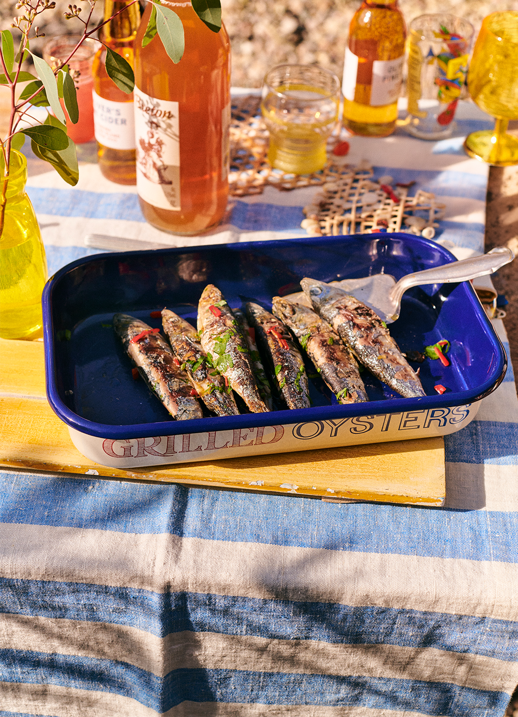 Red & Blue Toast 34Cm Enamel Roasting Tray