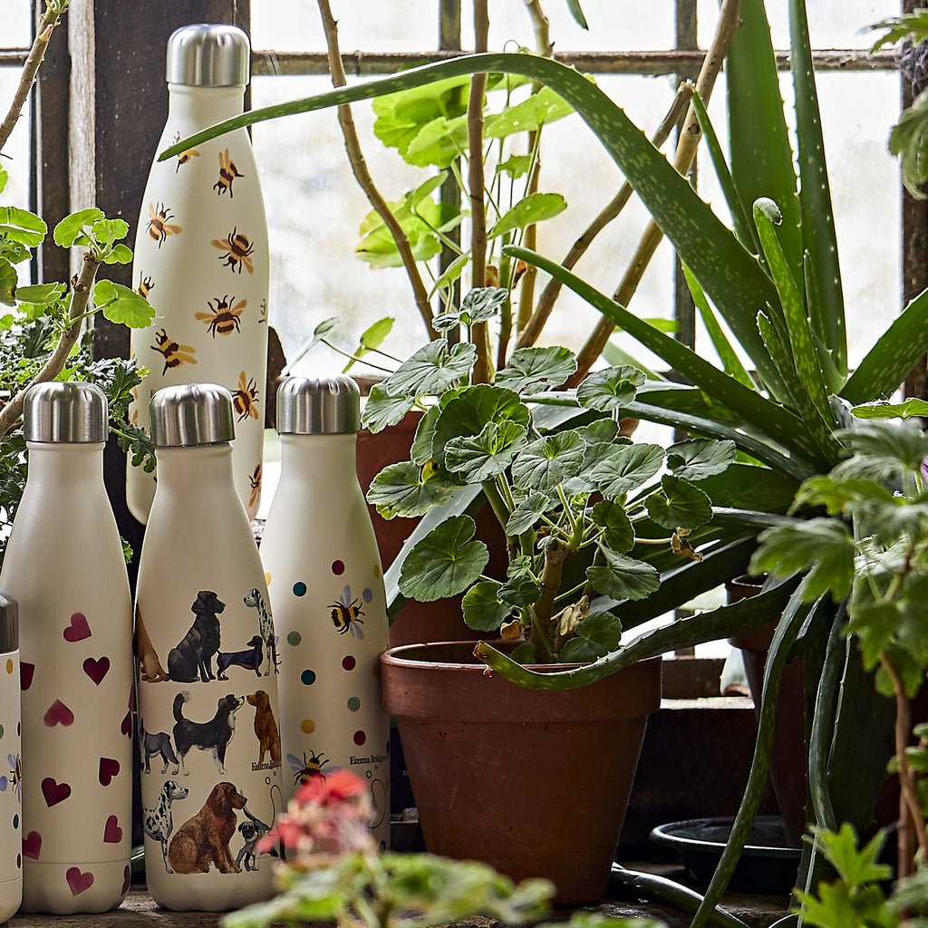Dogs Chilly's Bottle 500ml Emma Bridgewater UK