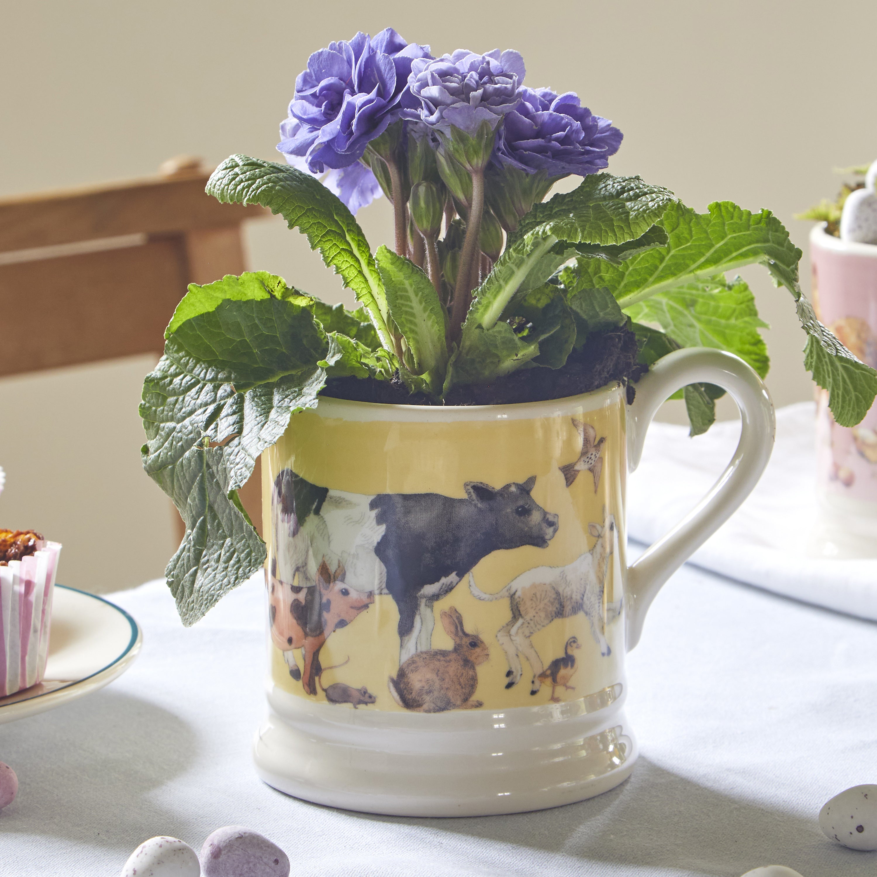 Bright Morning 1 2 Pint Mug