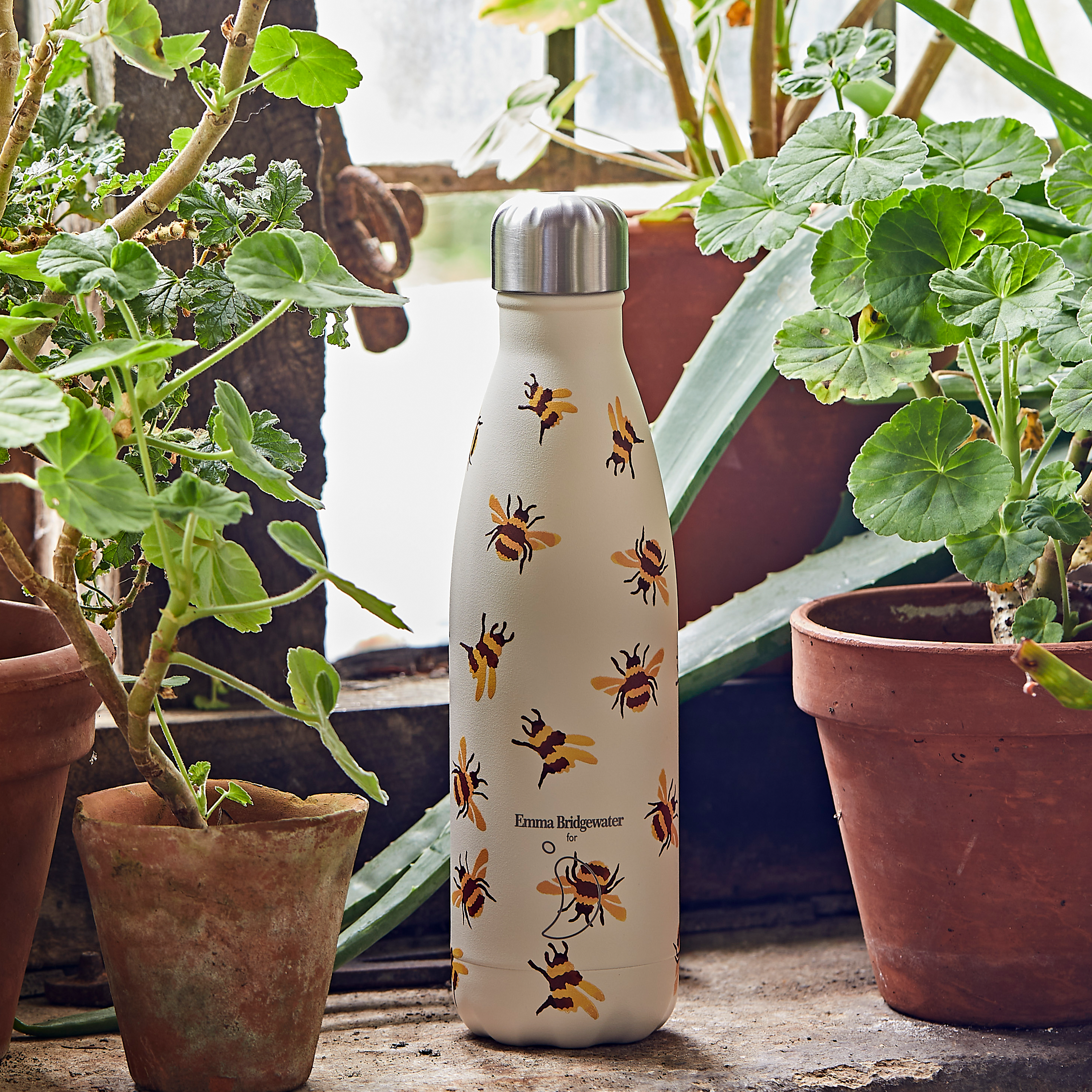 Bumblebee Chilly' s Bottle